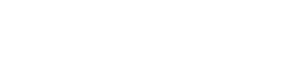 ROE Lead Hubs Logo