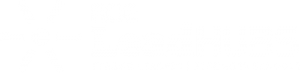 ROE Lead Hubs Logo